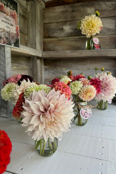 7-Acres-Farm-Farmstand-Glastonbury-1